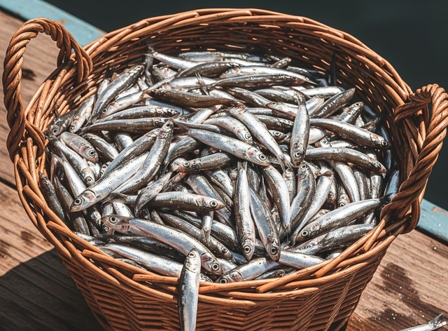 Loai ca nho be co nhieu loi ich voi suc khoe hinh anh