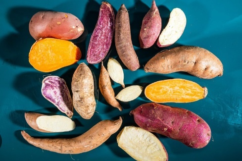 Nguoi benh tieu duong an khoai lang the nao la tot nhat? hinh anh