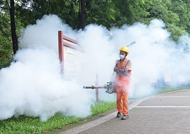 Dau hieu canh bao benh Chikungunya hinh anh