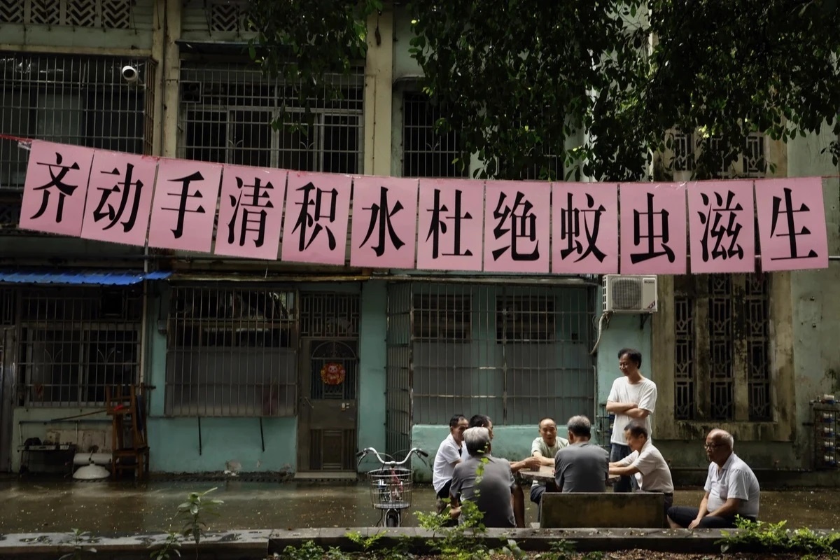 Benh Chikungunya anh 1