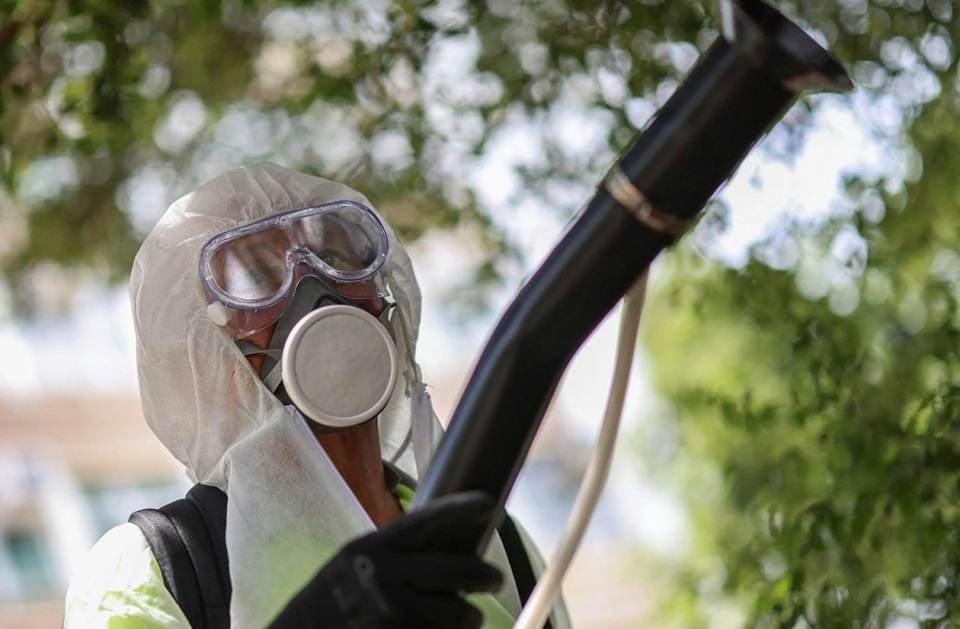 Bo Y te thong tin ve benh Chikungunya o Viet Nam hinh anh