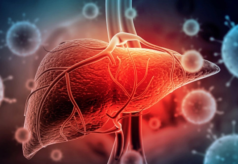 Trieu chung som cua benh viem gan A hinh anh