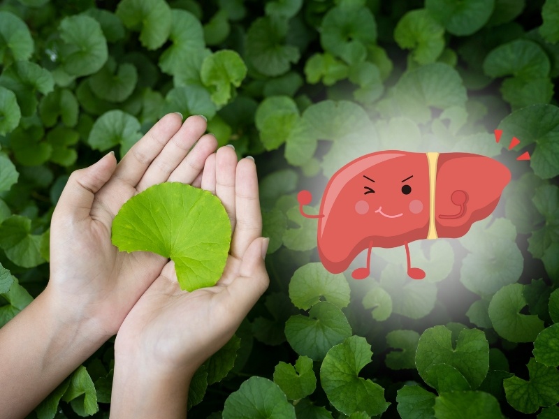 6 loi ich suc khoe cua rau ma hinh anh