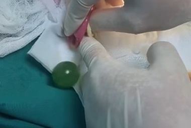 Bo me bat ngo khi biet ly do khien con trai an gi non nay suot 2 ngay hinh anh