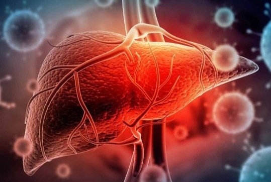 Trieu chung am tham bao hieu mac viem gan B hinh anh