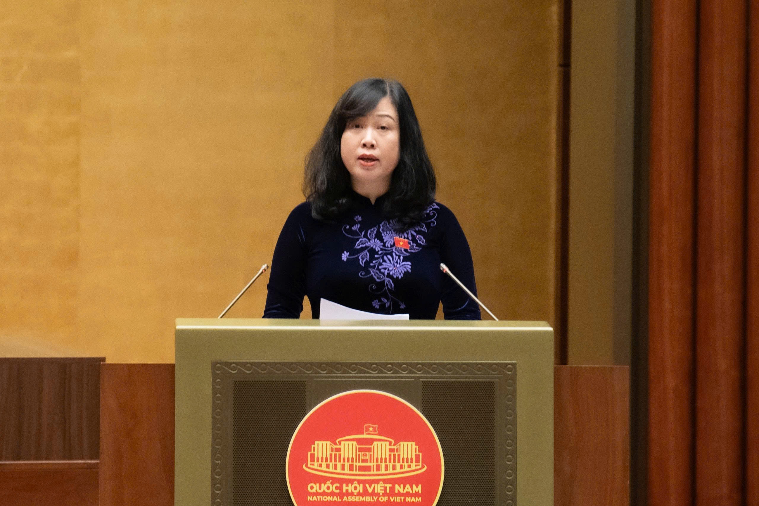 Viet Nam thich ung dan so gia, ho tro tai chinh de tang ty le sinh hinh anh