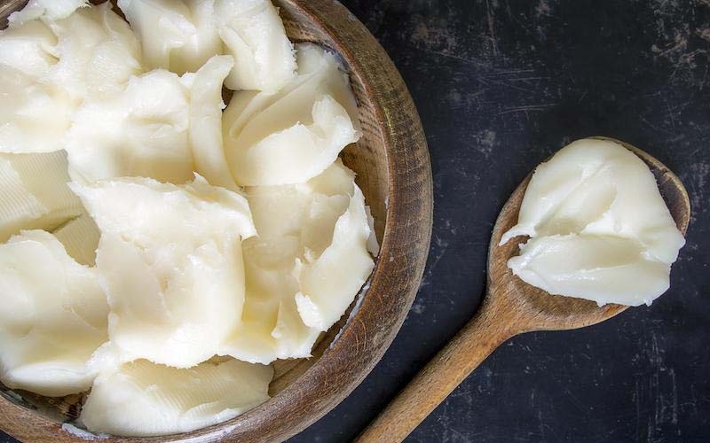 Tre nho nen an mo dong vat hay dau thuc vat? hinh anh