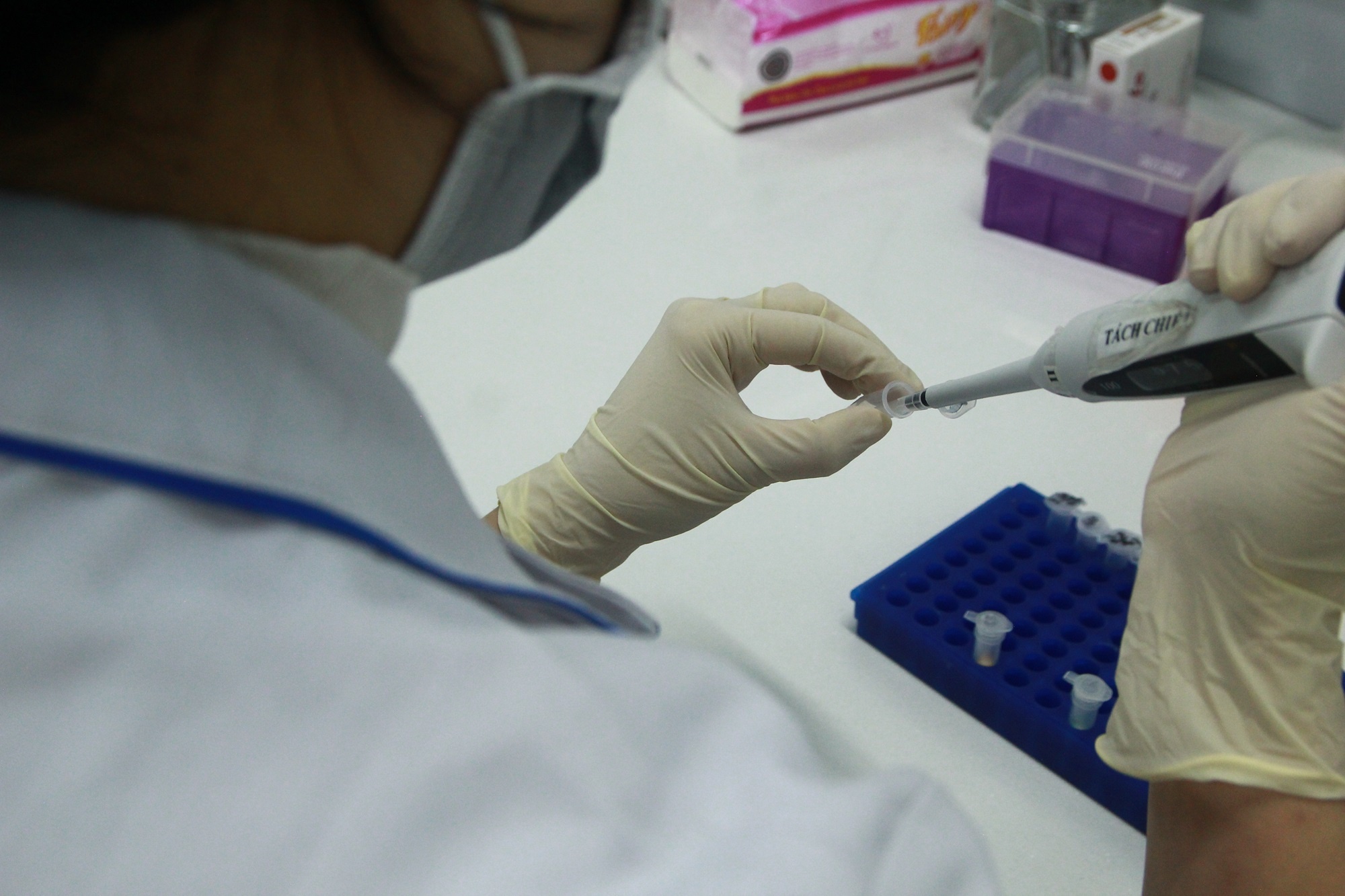 pháp y ảnh 4 phap y anh 4