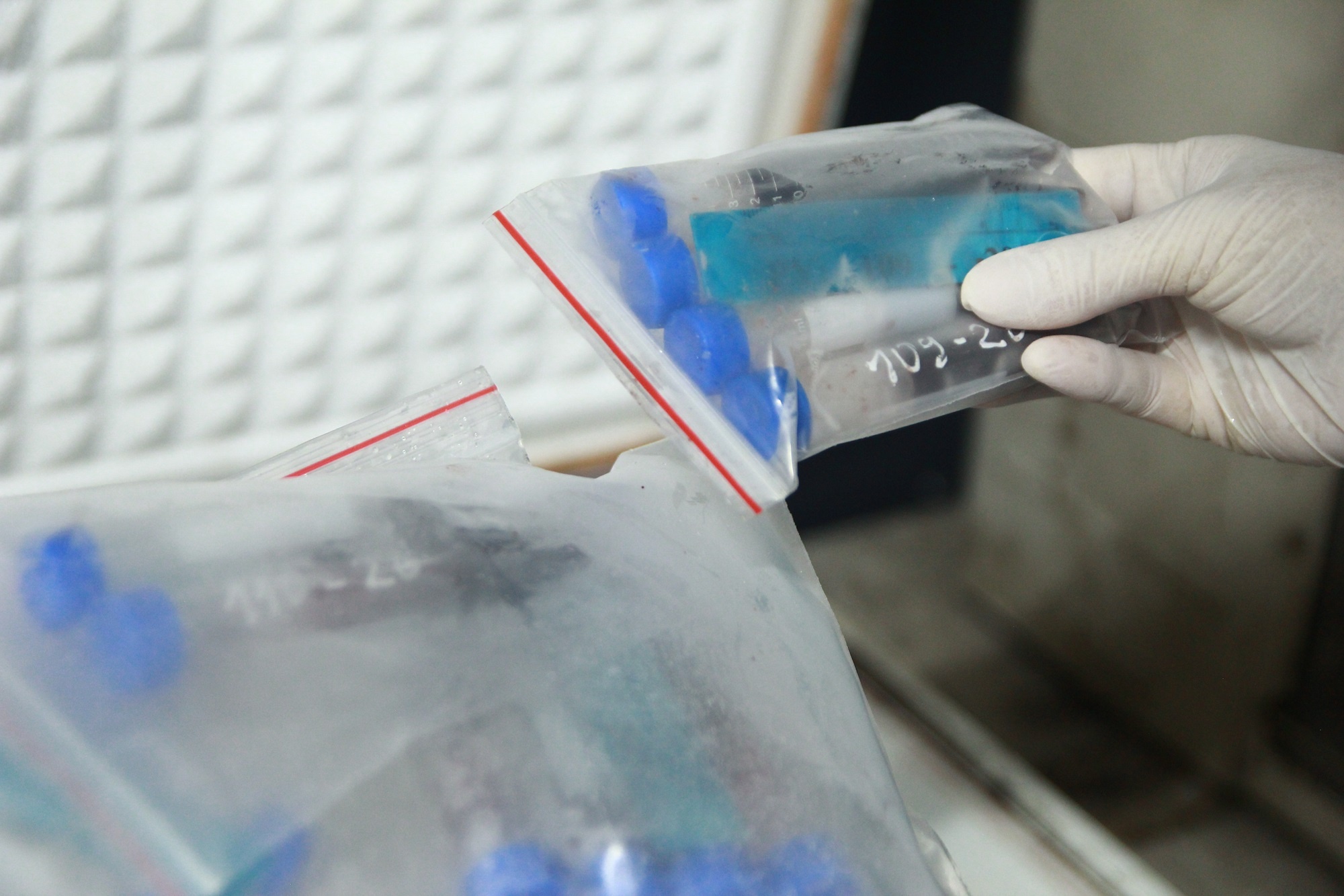 pháp y ảnh 2 phap y anh 2