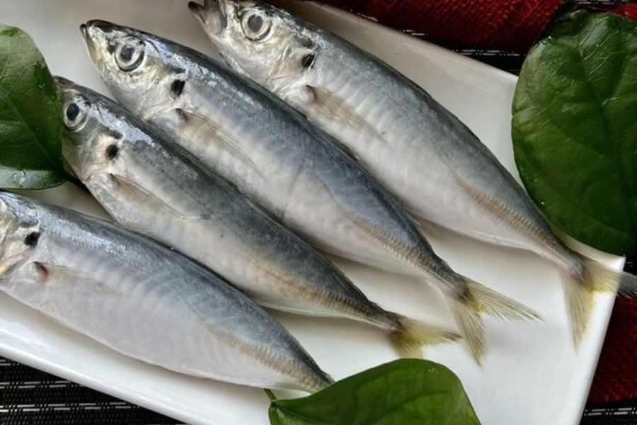 Loai ca dan da cu ra cho la thay, giau Omega-3, bo du duong hinh anh