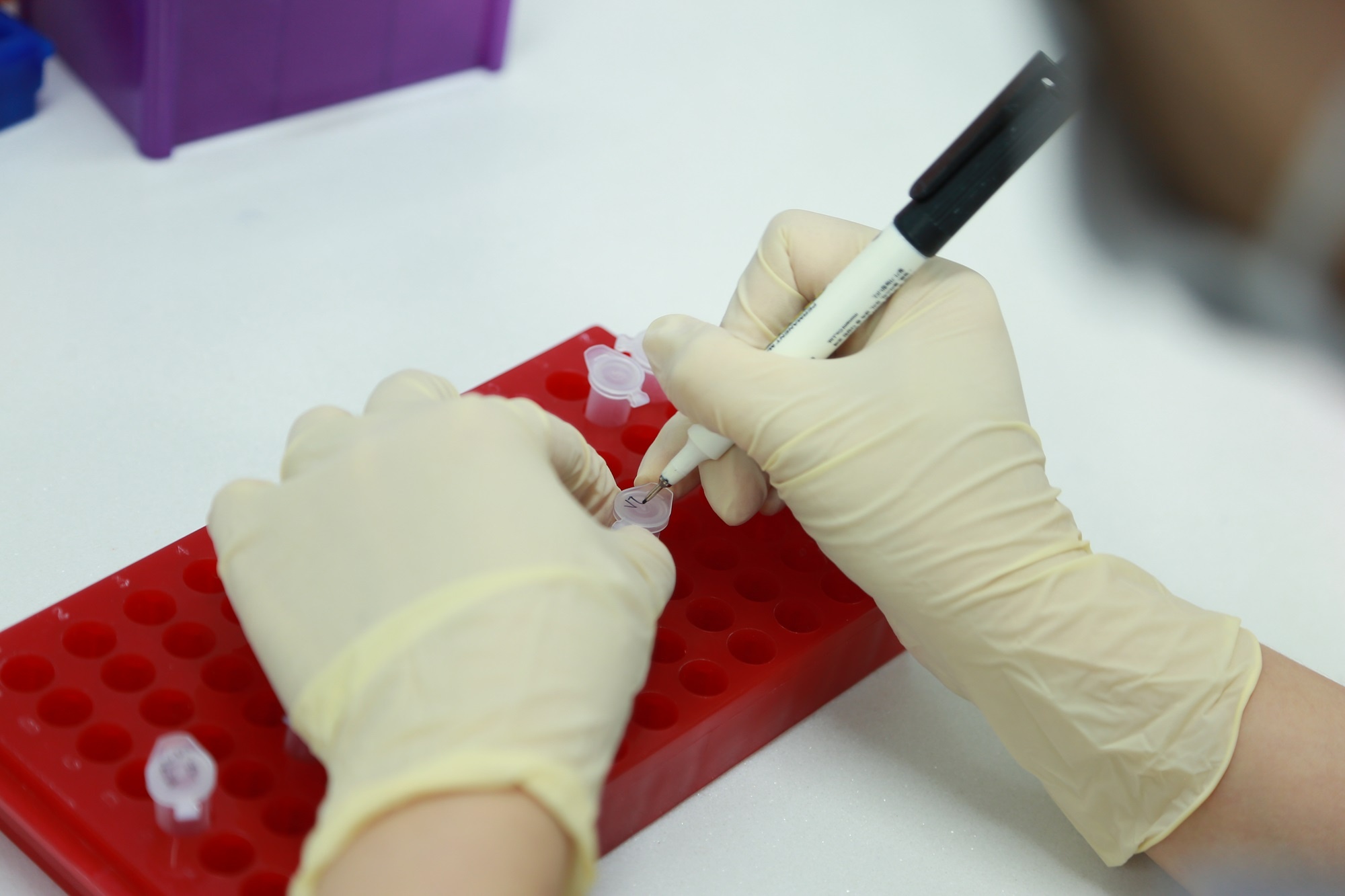 To ket qua ADN khien ca gia dinh tranh cai gay gat hinh anh