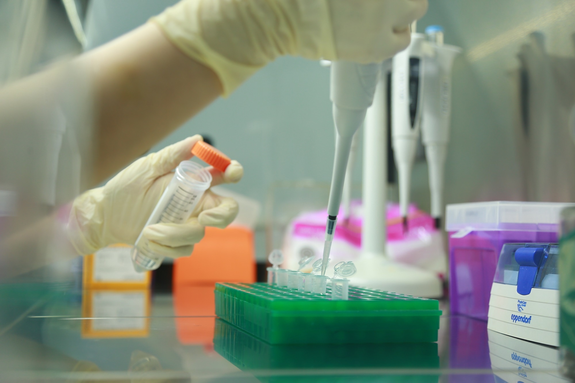 xet nghiem ADN anh 2