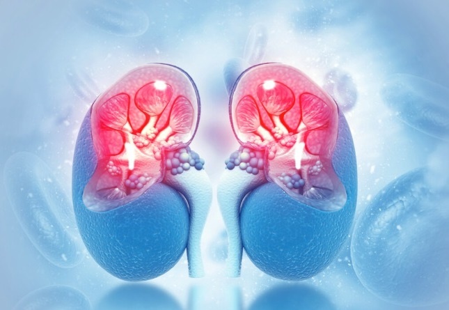 Dau hieu nhan biet som hoi chung than hu hinh anh