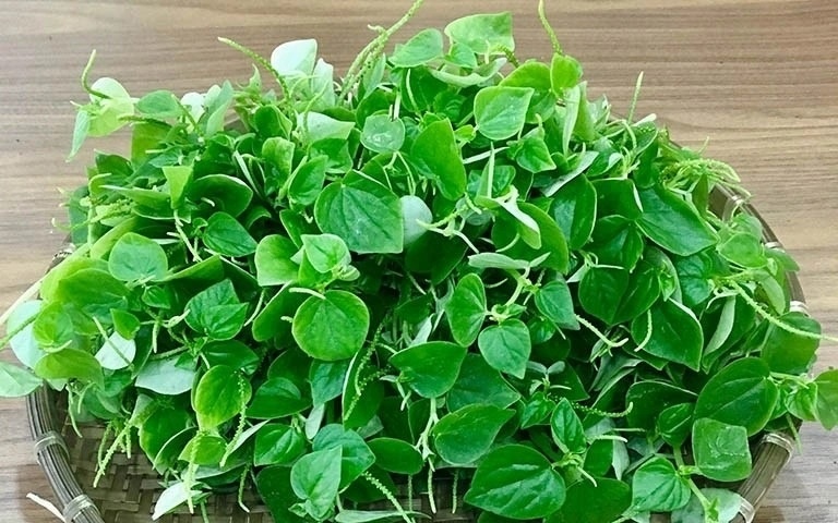 Viet Nam co vi 'thuoc bo tu nhien', tot ngang nhan sam hinh anh