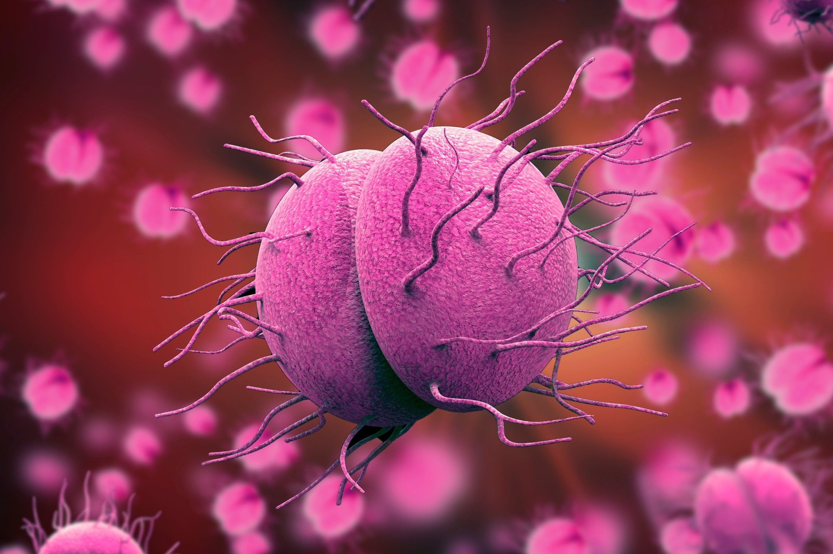 Con duong chinh lay truyen benh lau hinh anh