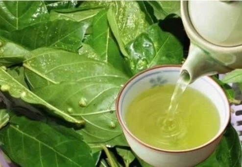 5 cong dung bat ngo cua la sung nhieu nguoi chua biet hinh anh