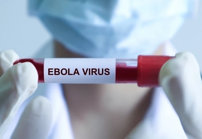 Ebola dien bien phuc tap, Bo Y te hop khan ung pho hinh anh