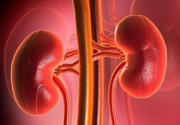 Cuộc đời mới sau suy thận giai đoạn cuối