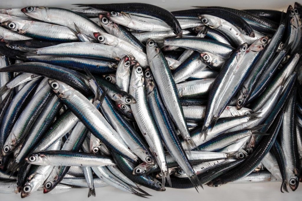  omega-3 ảnh 1