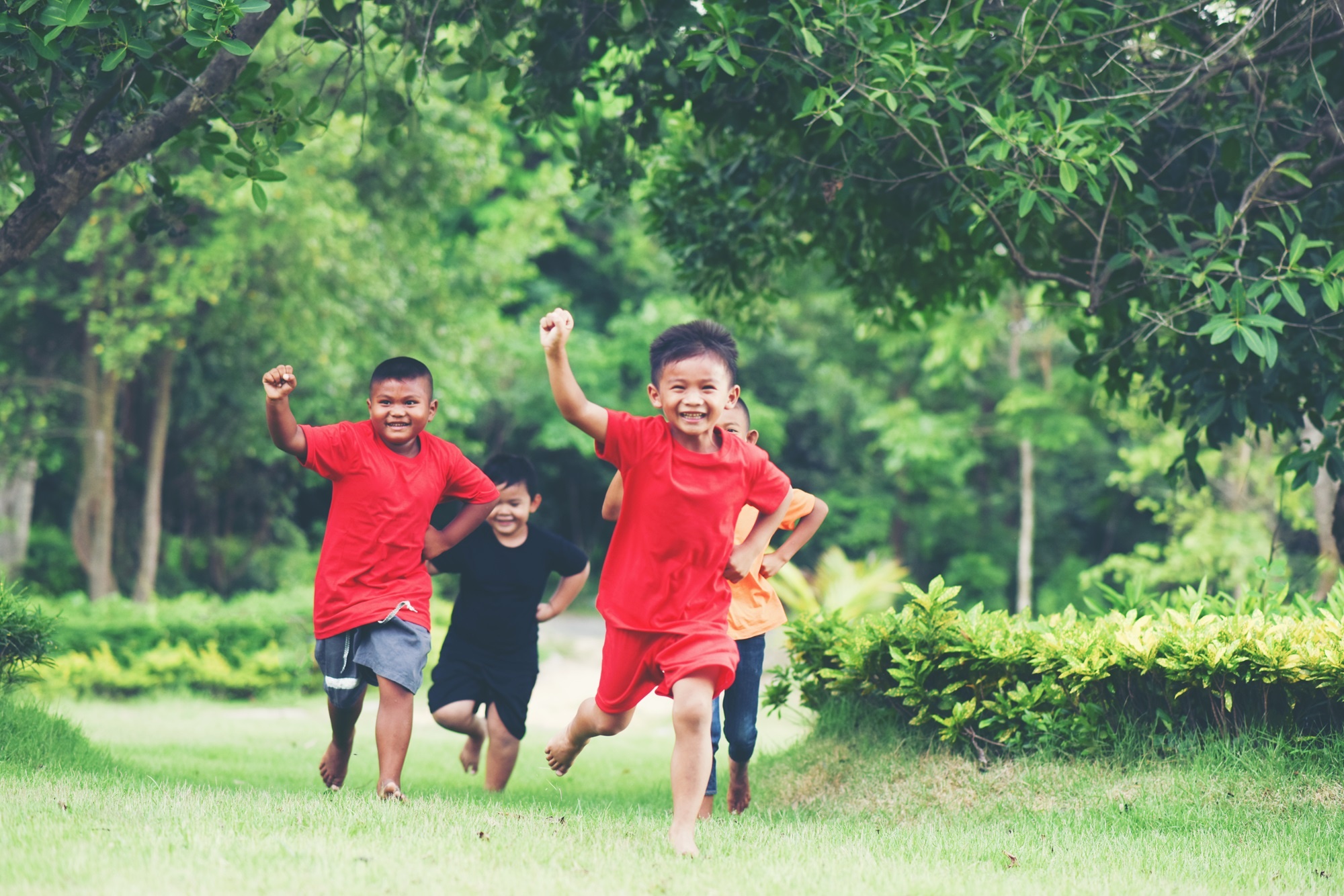 Bộ Y tế ảnh 1