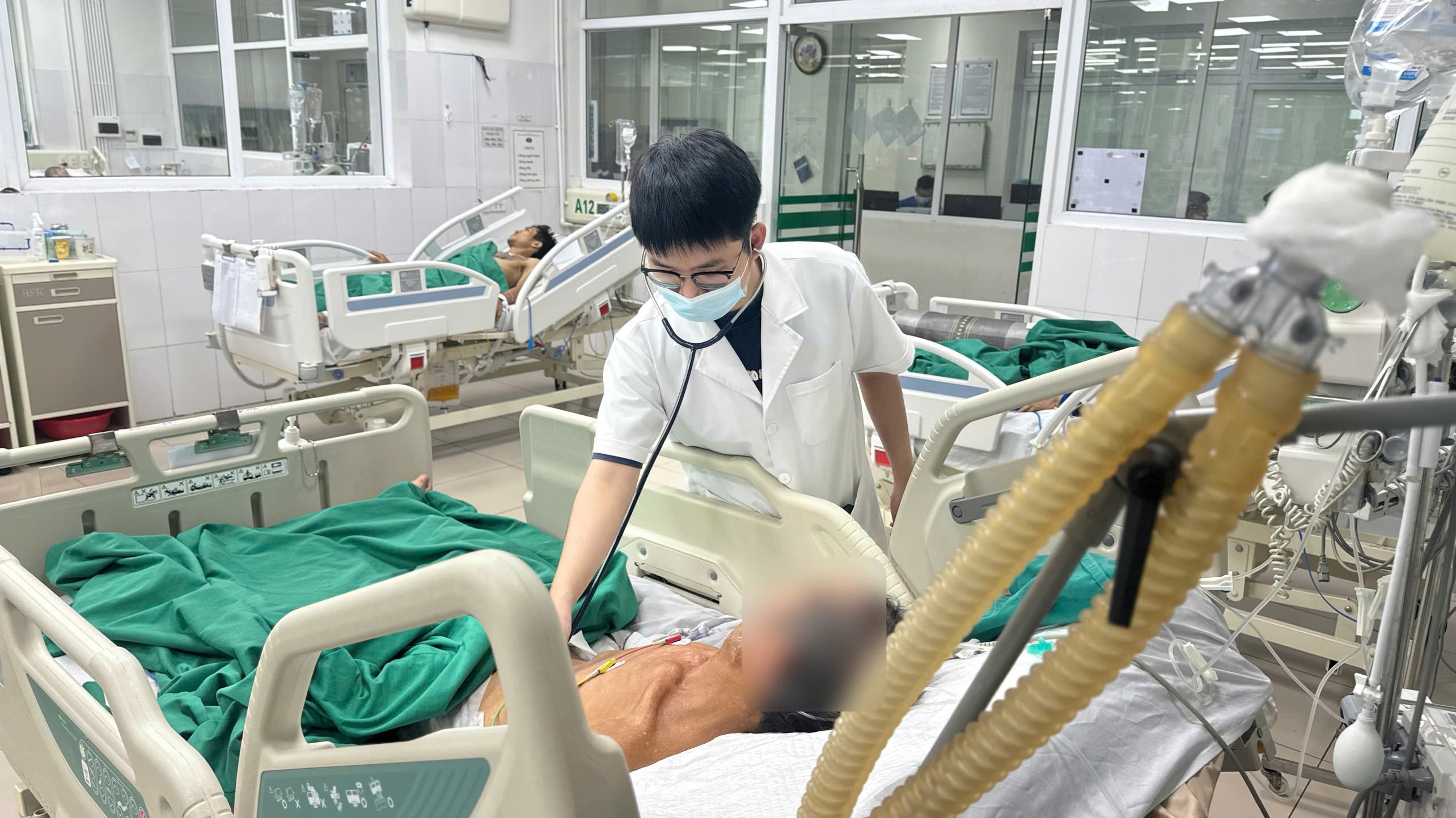 K&yacute; sinh tr&ugrave;ng ảnh 1