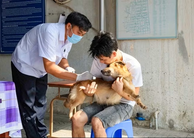 Bệnh dại diễn biến đáng lo, Bộ Y tế cảnh báo