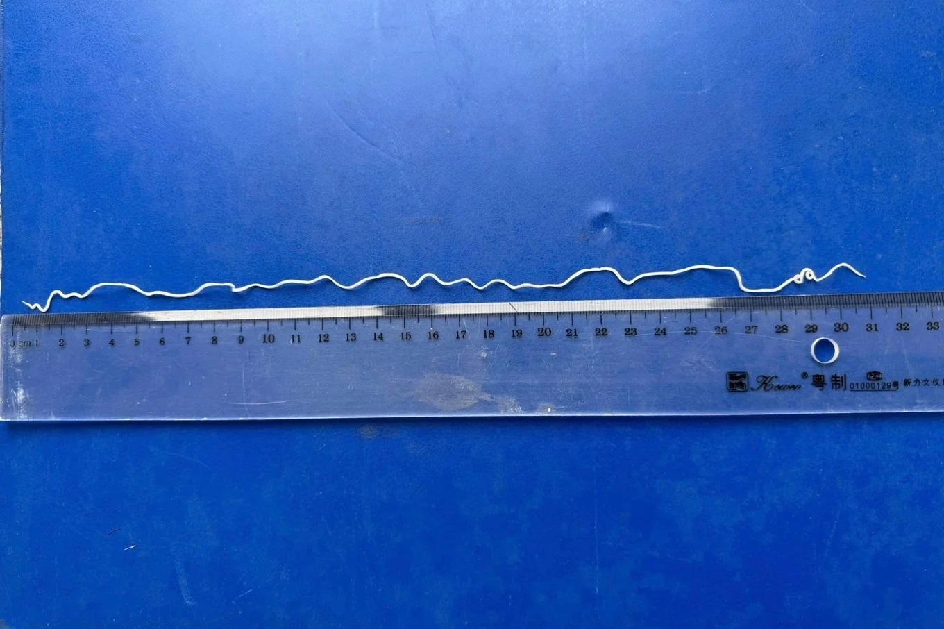 giun rồng ảnh 2