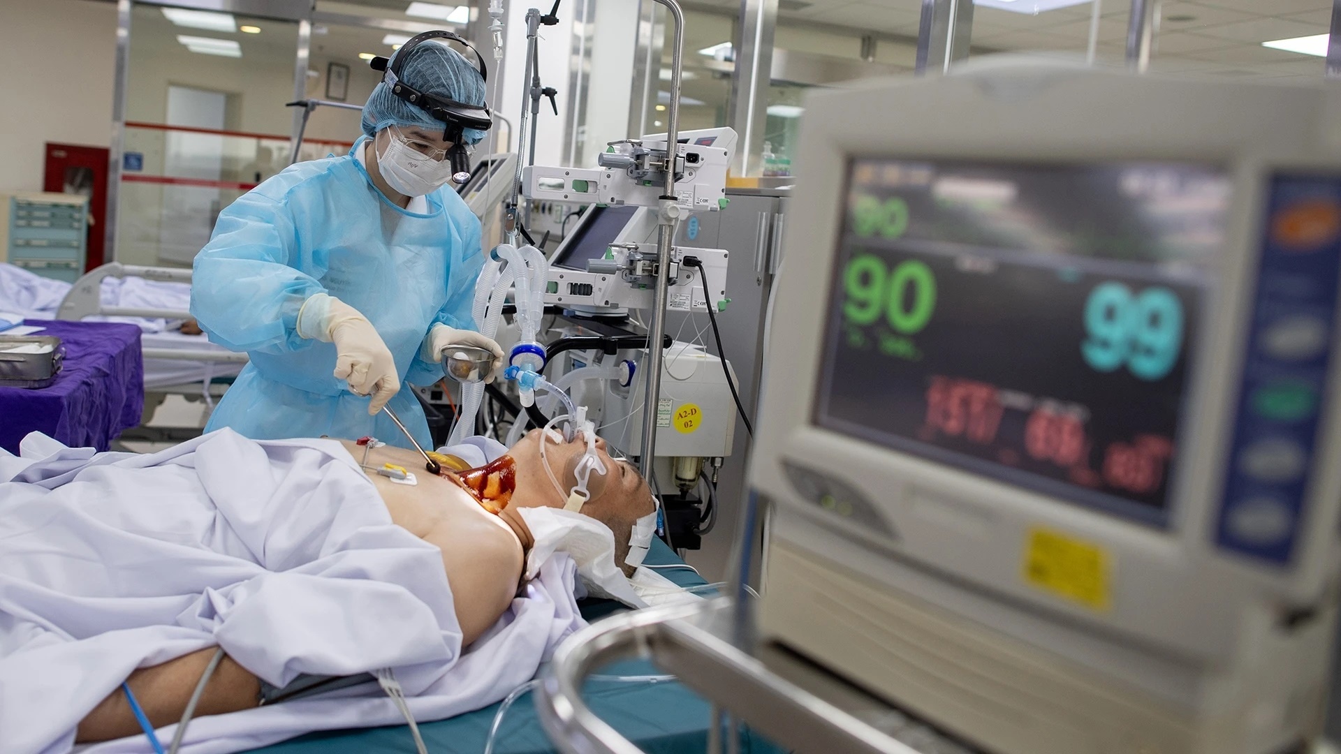 PGS Nguyễn L&acirc;n Hiếu ảnh 2