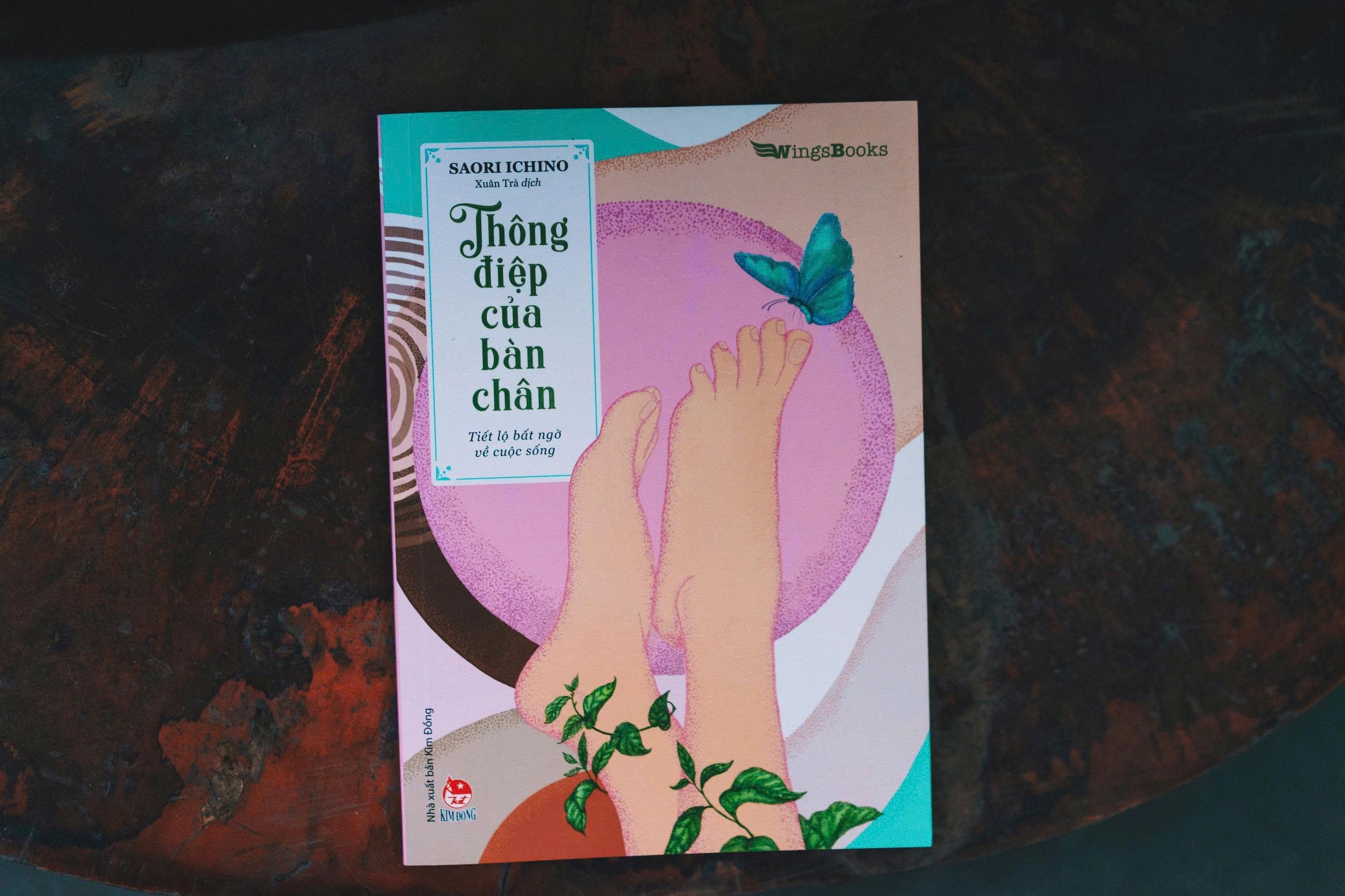 b&agrave;n ch&acirc;n ảnh 2
