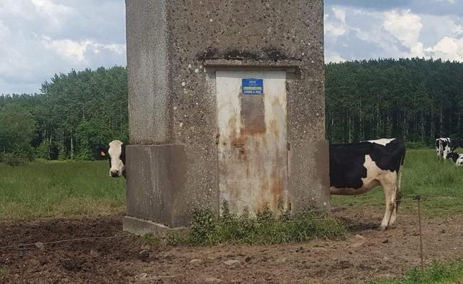 nhung buc anh gay hieu lam anh 2