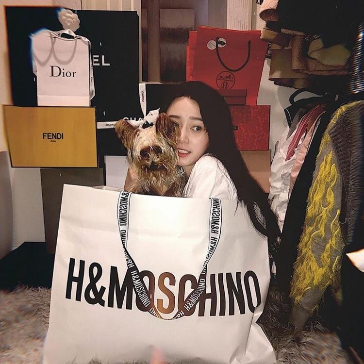 hoi con nha giau anh 2