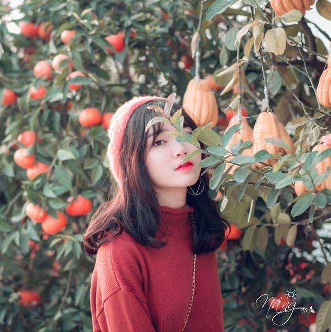 hot girl anh the anh 5