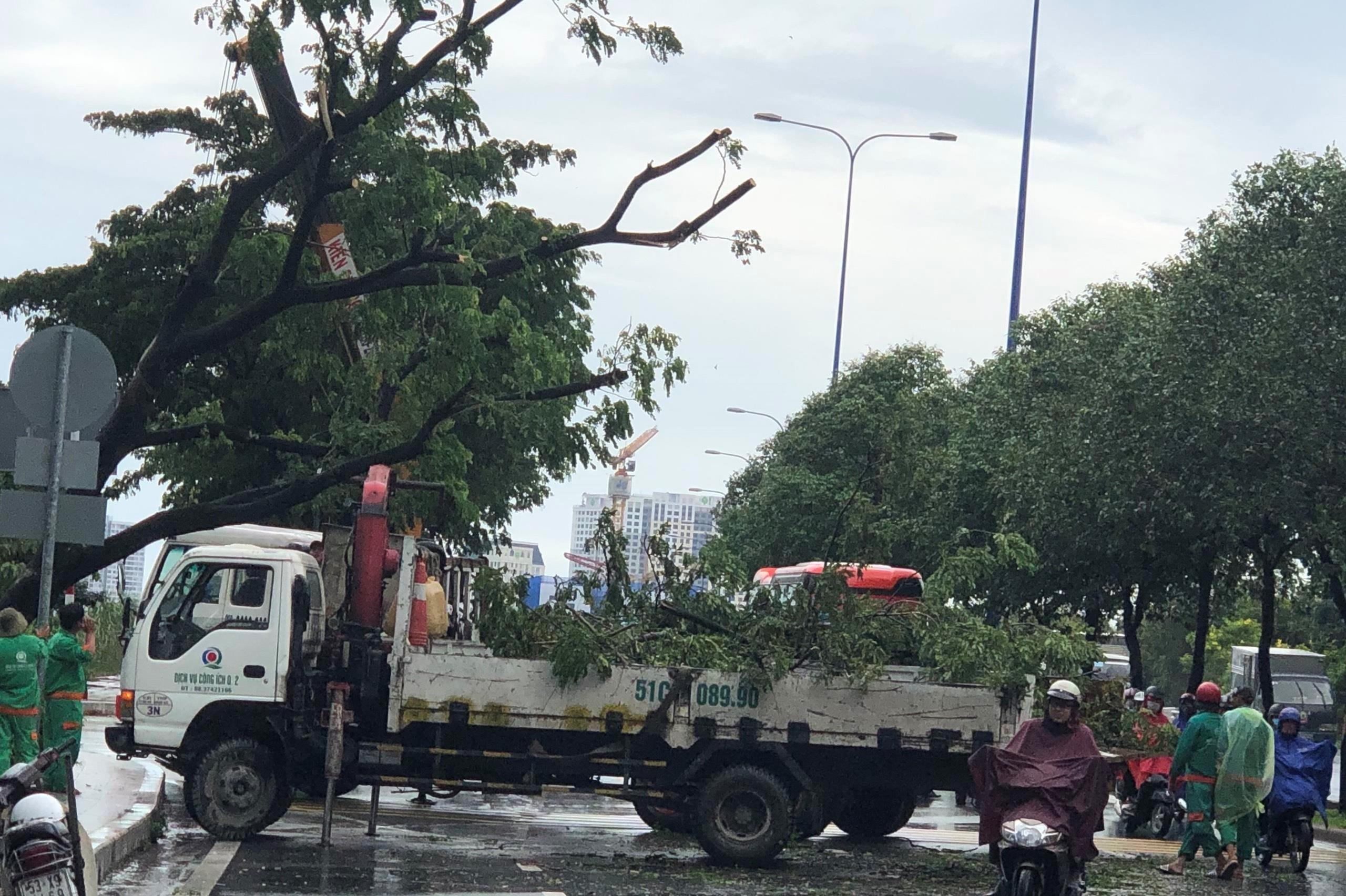 cây xanh ngã đổ, cổng công trình sập sau mưa ảnh 4 cay xanh nga do, cong cong trinh sap sau mua anh 4