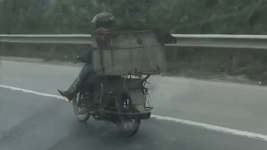 Thanh nien cho hang vat cheo chan danh vong tren cau Thanh Tri hinh anh