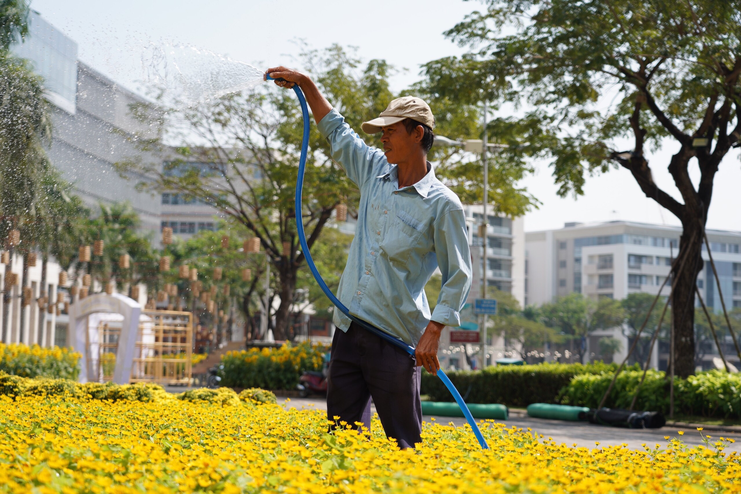 duong hoa Phu My Hung anh 9