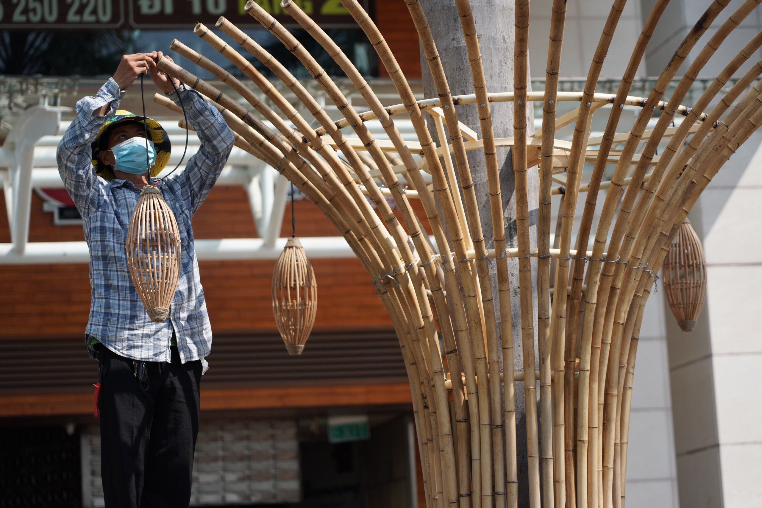 duong hoa Phu My Hung anh 10