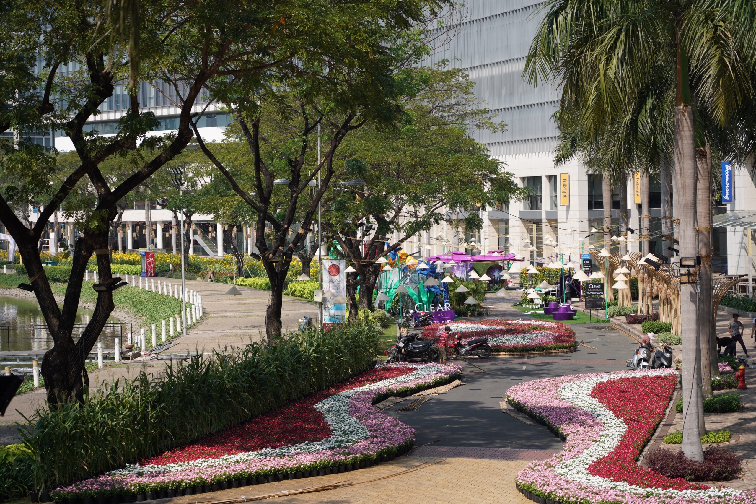 duong hoa Phu My Hung anh 11