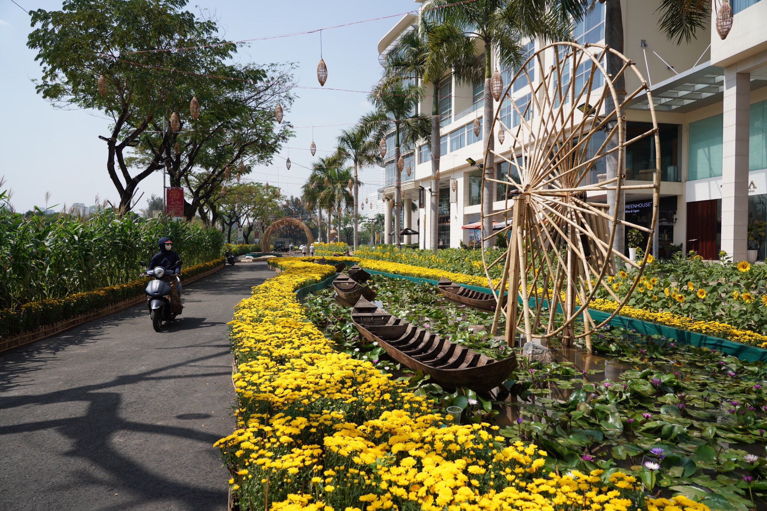 Nhung hinh anh dau tien cua duong hoa Phu My Hung hinh anh