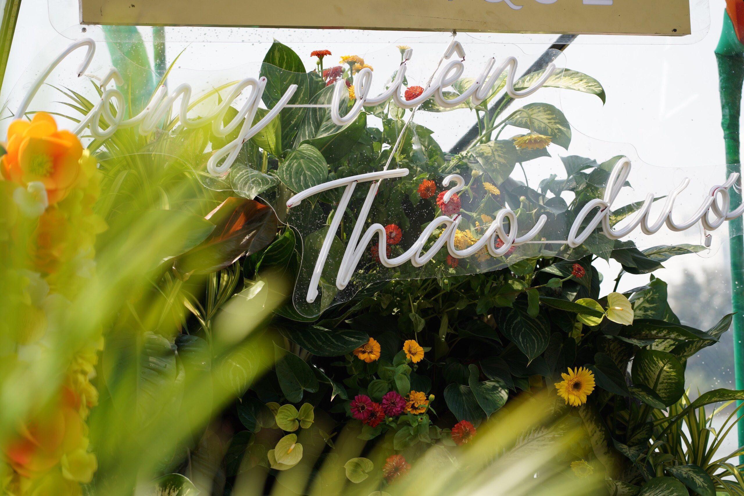 duong hoa Phu My Hung anh 2