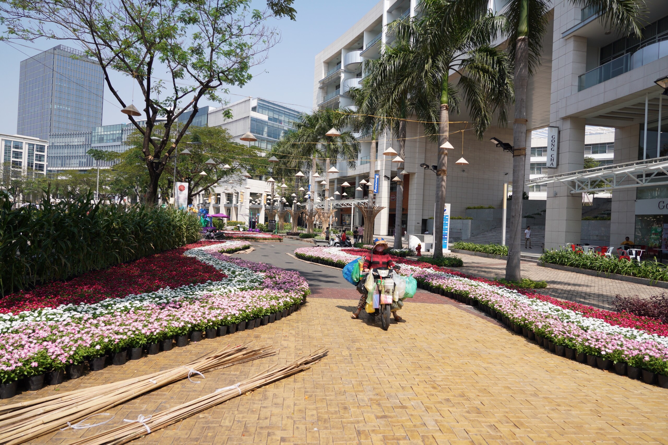 duong hoa Phu My Hung anh 4