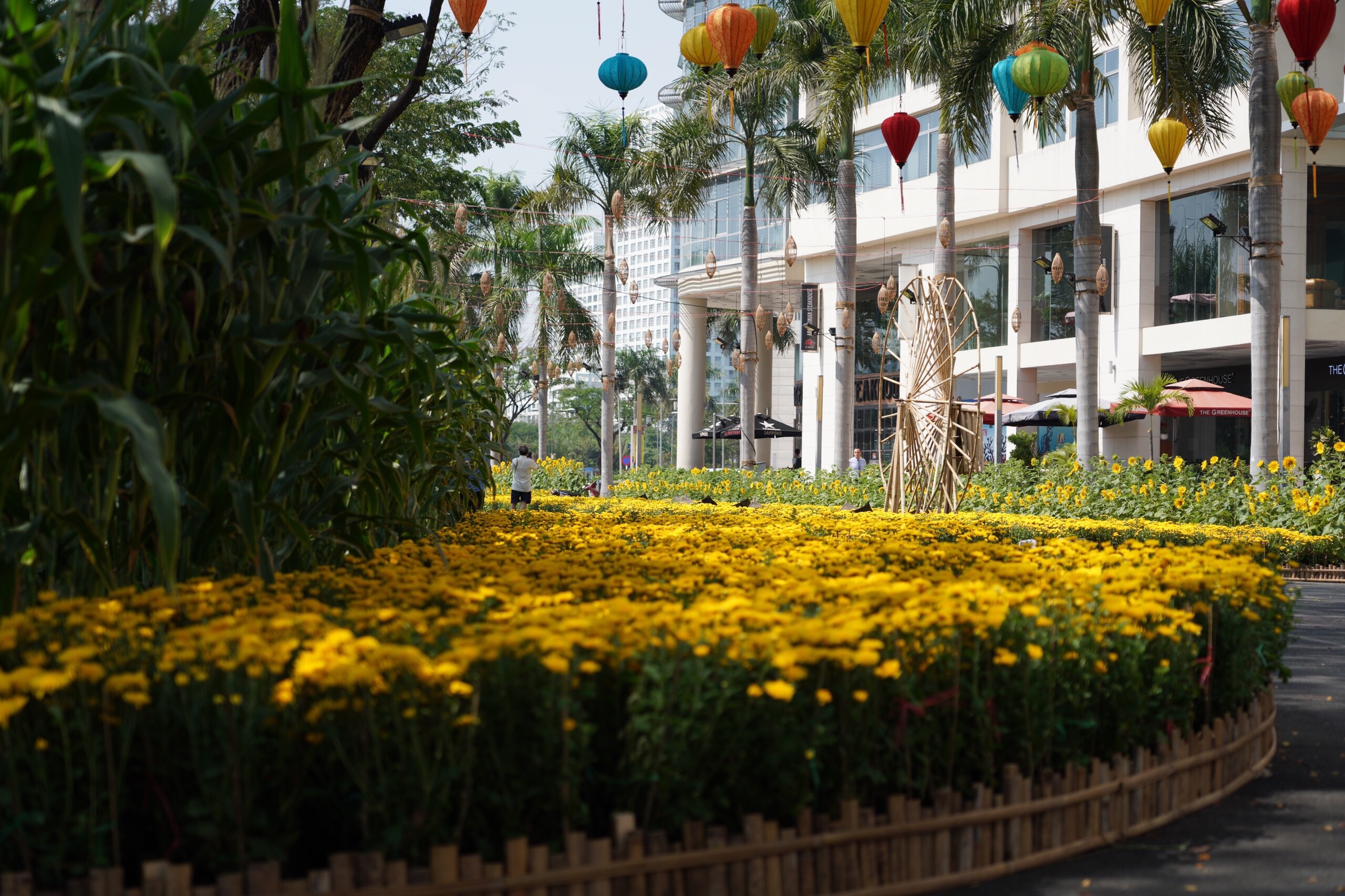 duong hoa Phu My Hung anh 5