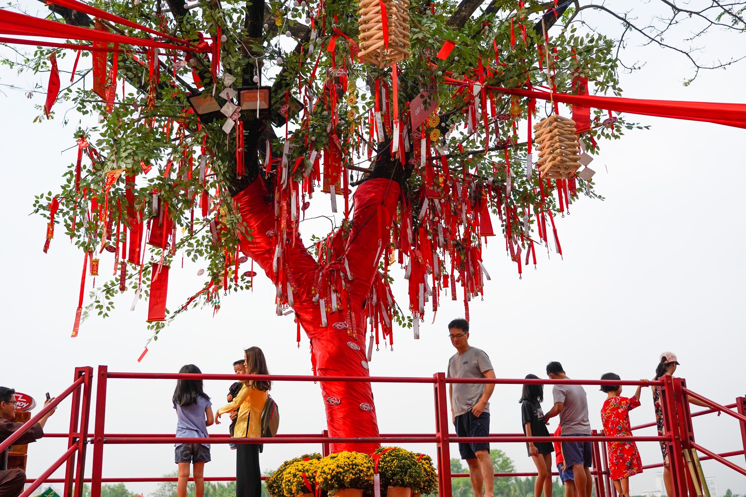 duong hoa Phu My Hung anh 3