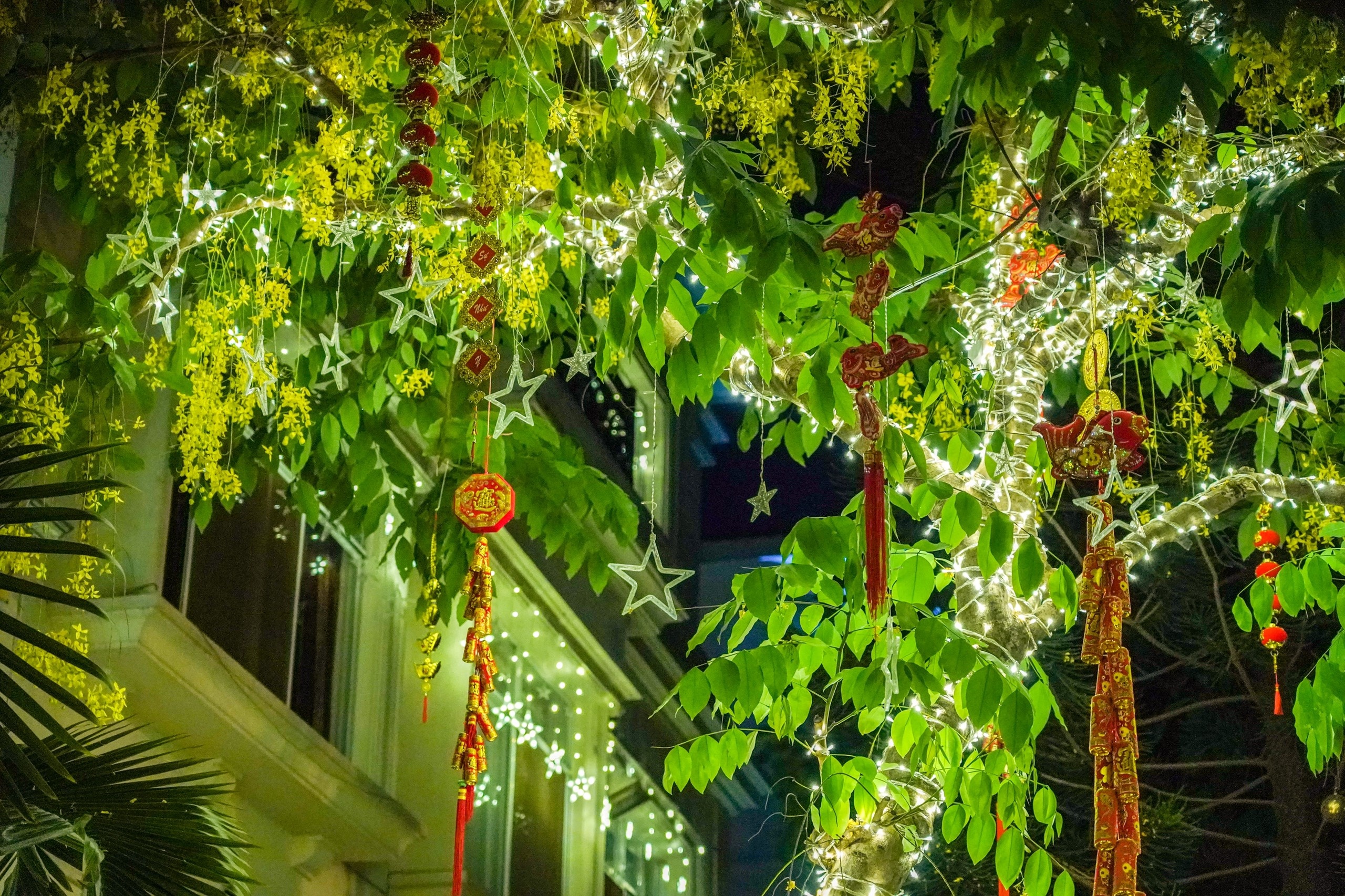 khu biet thu phu my hung don tet anh 3