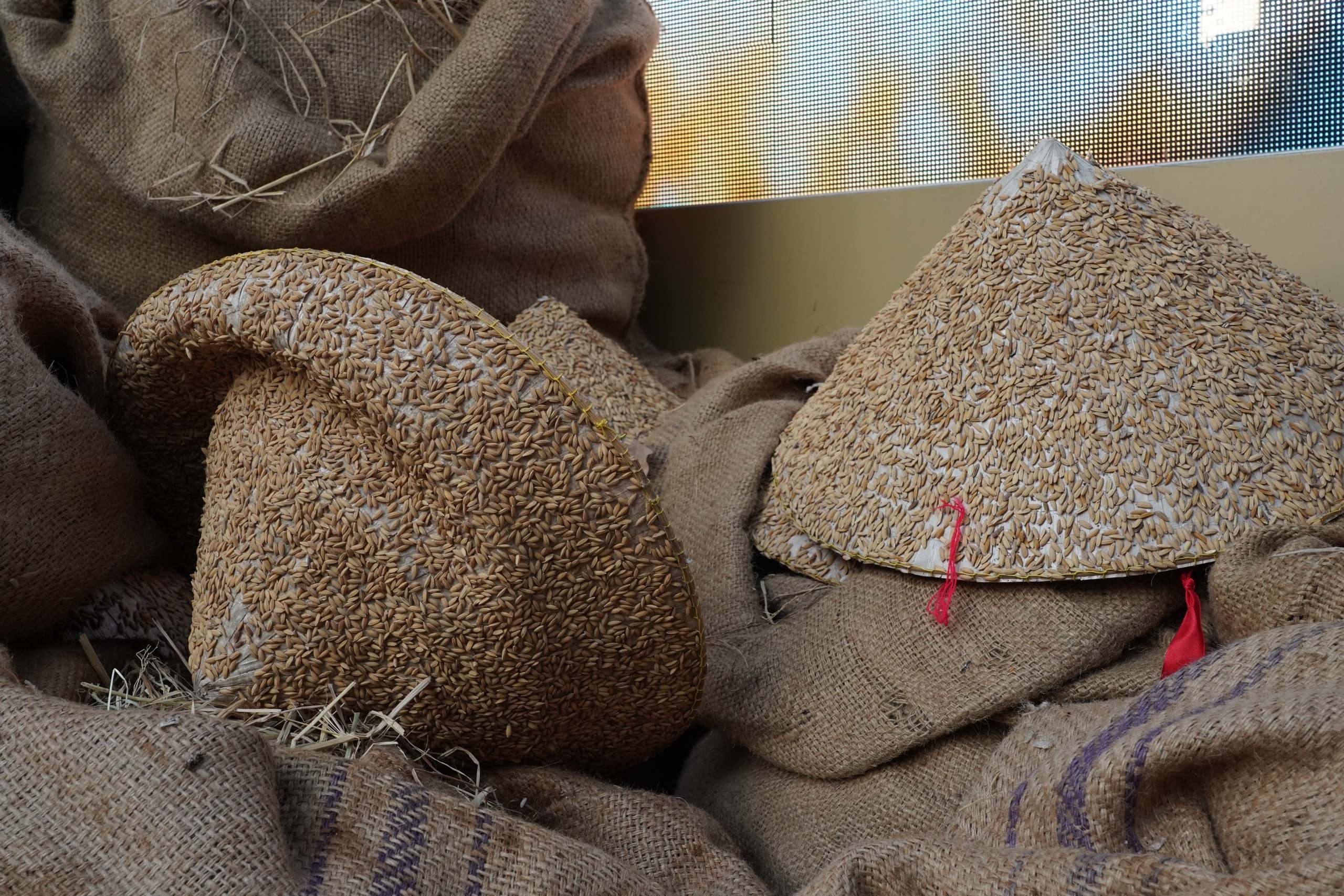 tieu canh pho ong do bung bet anh 7