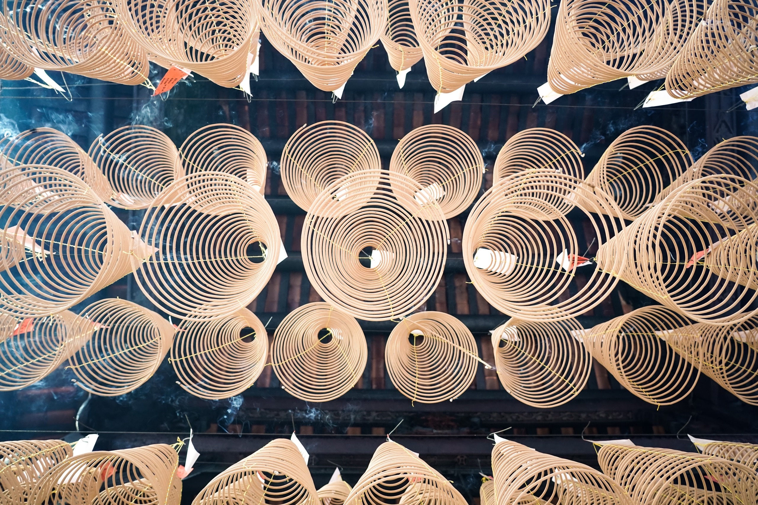 di chua dau nam anh 8