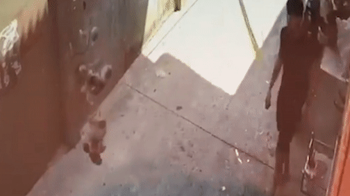 Ke trom cam dao doa dam chu nha khi bi ruot duoi o TP.HCM hinh anh