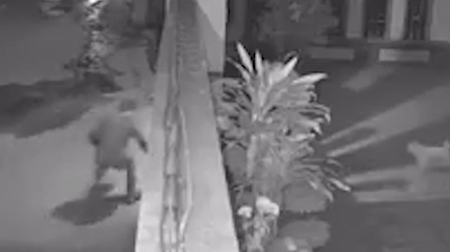 Trom cho o TP.HCM luc rang sang hinh anh