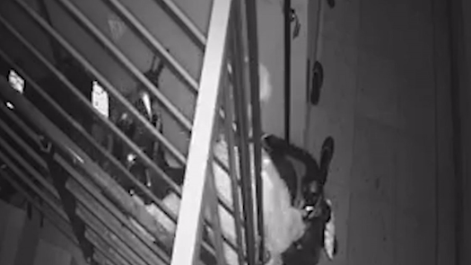 Nguoi dan ong mac ao xe om cong nghe vao khu tro trom xe hinh anh