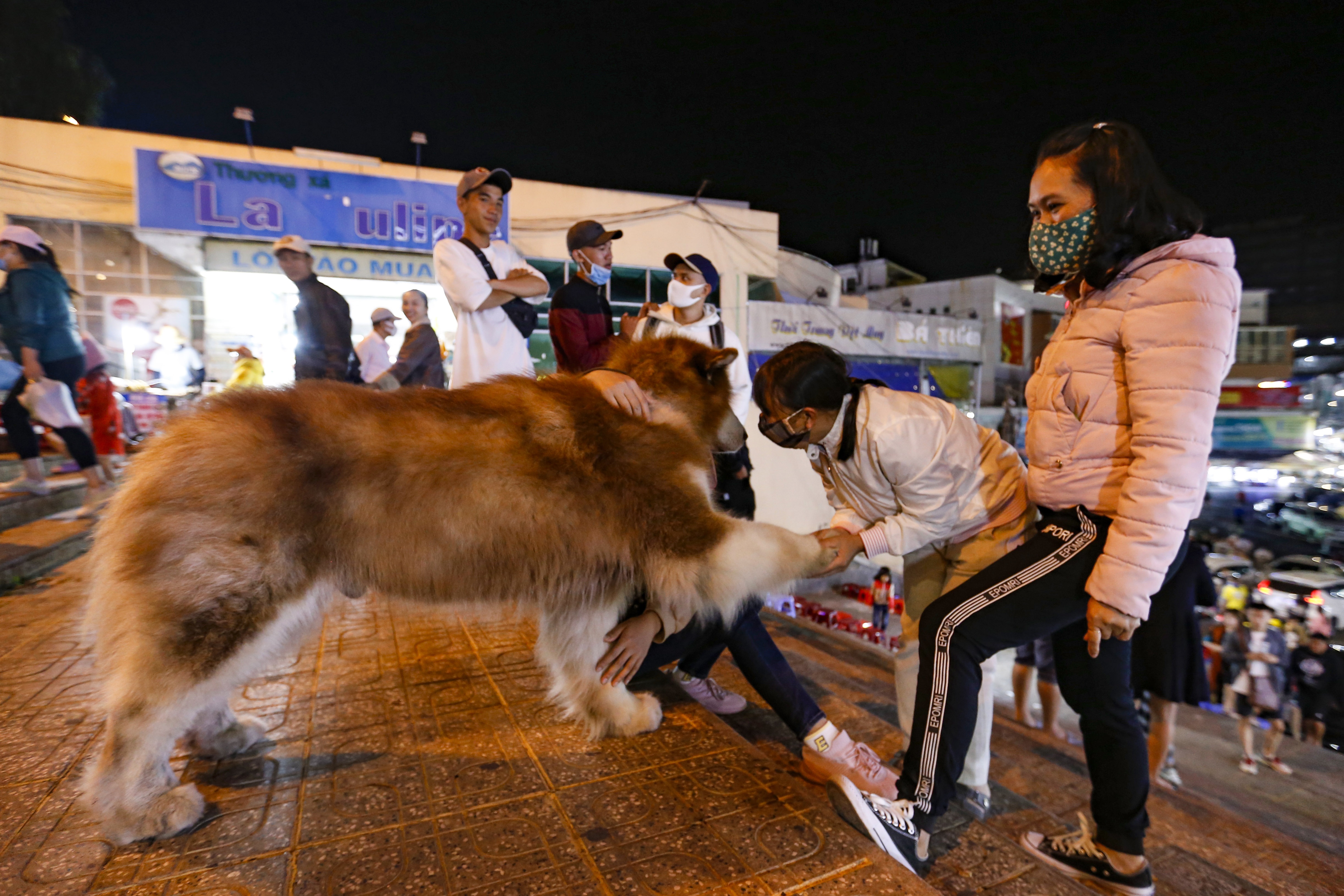 Da Lat dong duc sau gian cach xa hoi anh 9