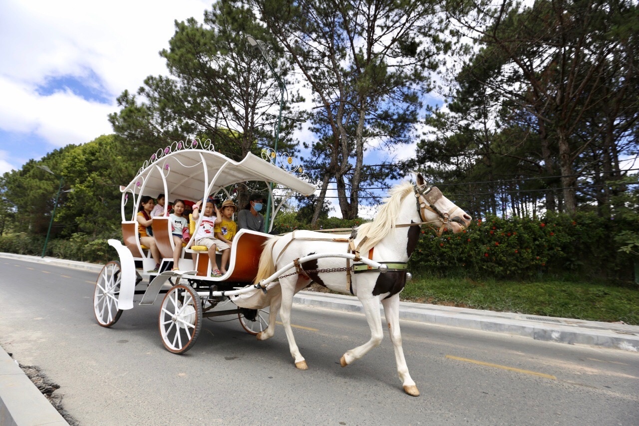 Da Lat dong duc sau gian cach xa hoi anh 5